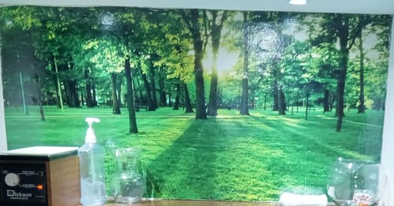 Mural de un bosque con luz natural en la clínica FISIOAR, un espacio pensado para la calma