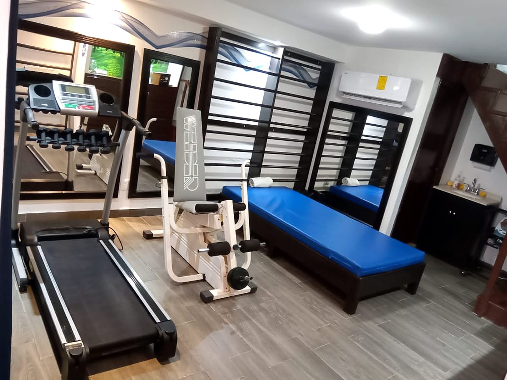 Sala de ejercicio terapéutico de FISIOAR con caminadora, equipo de fuerza, barras de pared y camillas azules